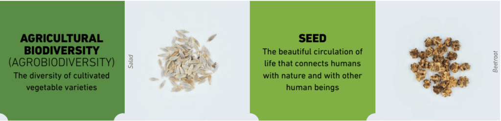 Infograph_agrobiodiversity